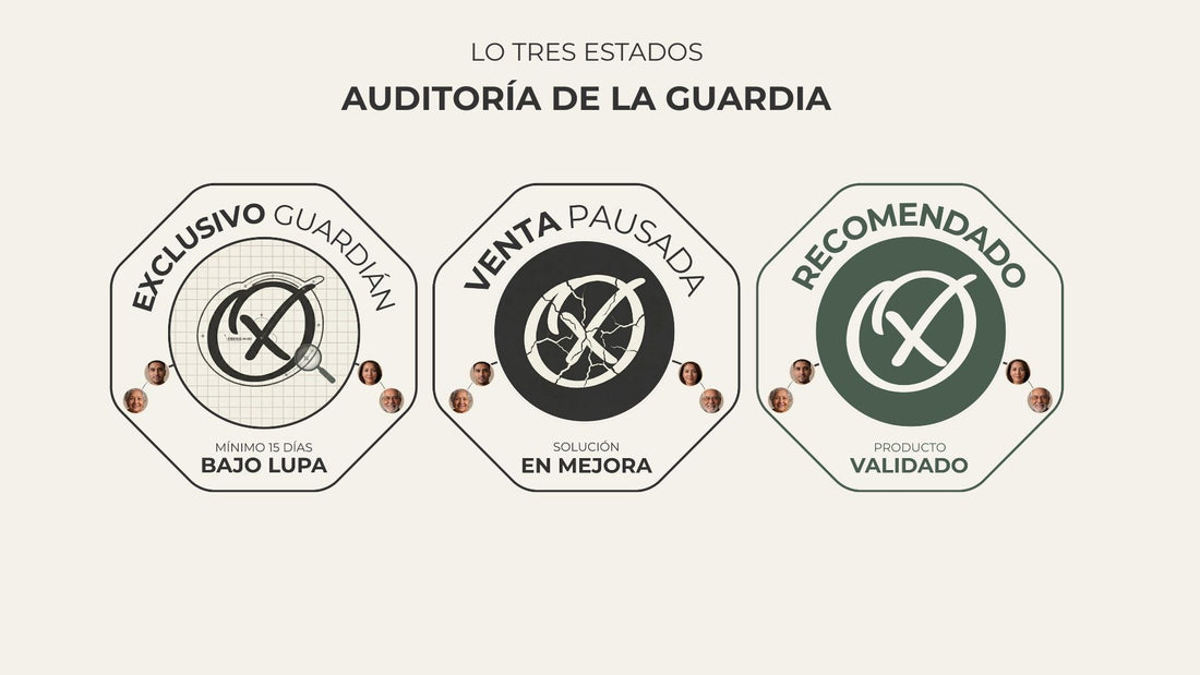 Cómo Auditamos